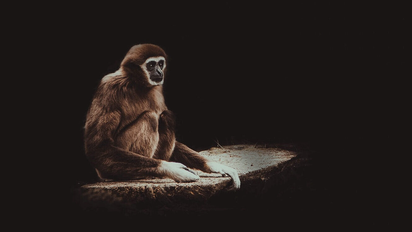 『Doolittle』PIXIES LOG